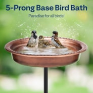 VIVOHOME Oval Polyresin Bird Bath Bowl with Metal Stake, 29 Inch Height Outdoor Freestanding Birdfeeder, Capacity 1.3 Gallons, 5-Pronged Base, Bronze